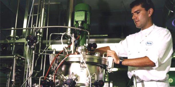 Biotechnische Herstellung von Riboflavin 2 Biotechnische Herstellung von Riboflavin 2