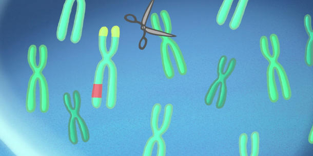 CRISPR bei Weizen CRISPR bei Weizen