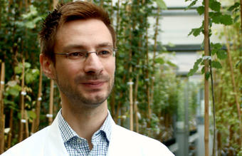 Tobias Brügmann Tobias Brügmann