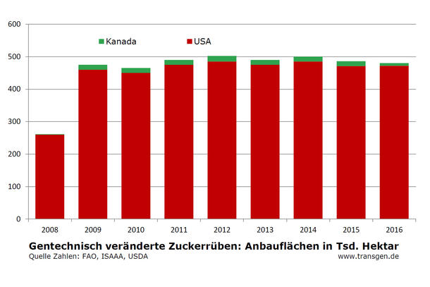 GVO-Anbau weltweit 2016, ISAAA, Zuckerrübe GVO-Anbau weltweit 2016, ISAAA, Zuckerrübe