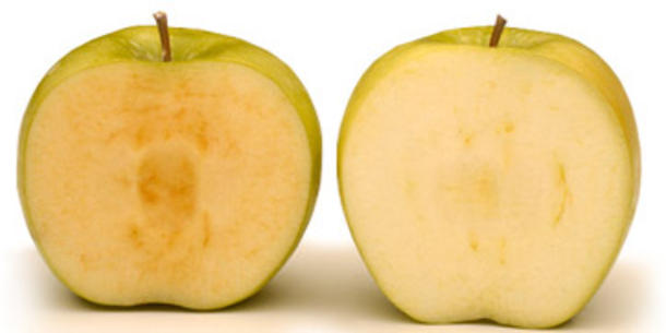 Arctic apples non browning Arctic apples non browning