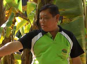 Bananen-Anbauer auf den Philippinen