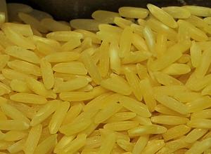 Goldener Reis