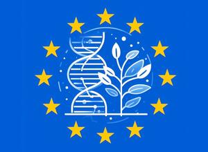 Pflanze mit DNA vor EU-Flagge