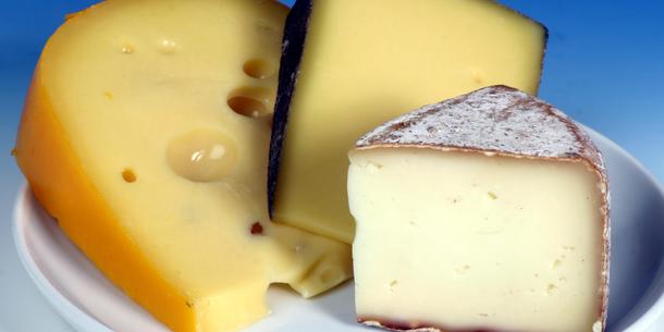 Käse Käse