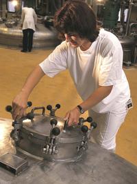 Enzyme, Produktion Enzyme, Produktion