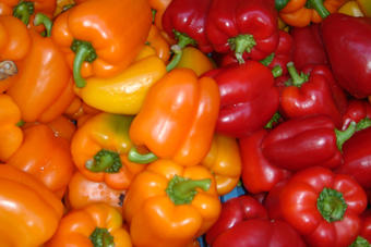 Paprika Paprika