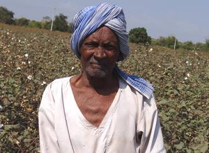Baumwolle, Kleinbauer in Indien