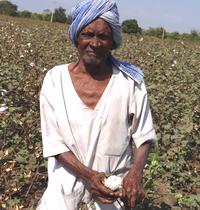 Baumwolle, Kleinbauer in Indien