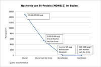 Bt-Protein im Boden