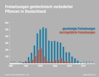 Freisetzungen gentechnisch veränderter Pflanzen in Deutschland