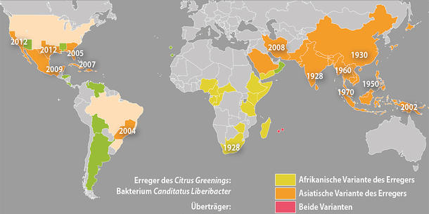 Citrus greening Weltkarte Citrus greening Weltkarte