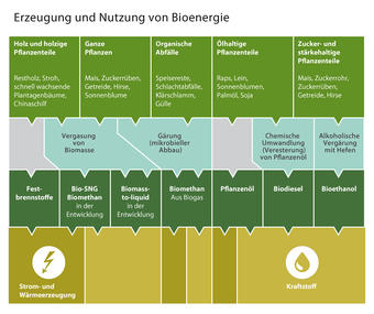 Infografik Bioenergie Infografik Bioenergie