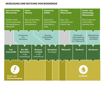 Infografik Nutzung Bioenergie 2015