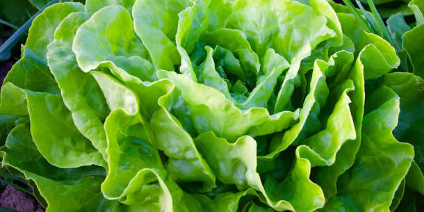 Salat 2 Salat 2