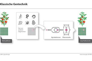 Gentechnik Gentechnik