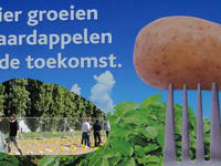 Kartoffel der Zukunft, Schild an Freisetzungsfläche in Belgien