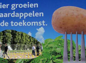 Kartoffel der Zukunft, Schild an Freisetzungsfläche in Belgien