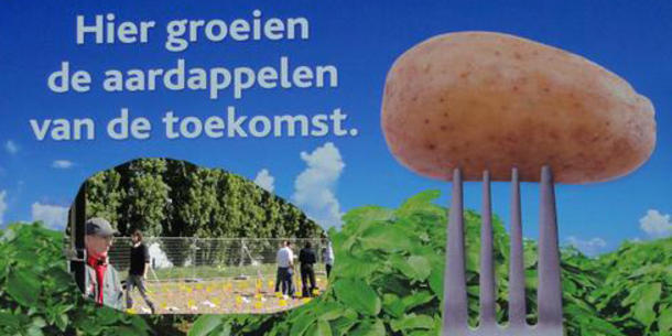 Kartoffel der Zukunft, Schild an Freisetzungsfläche in Belgien Kartoffel der Zukunft, Schild an Freisetzungsfläche in Belgien