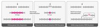 Genome editing Rekombination Genome editing Rekombination
