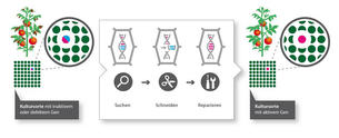 Genome Editing 2 Genome Editing 2