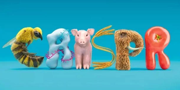CRISPR CRISPR