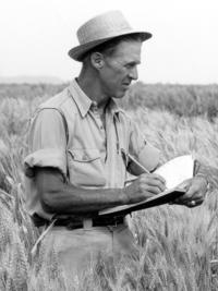 Norman Borlaug