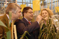 Sigmar Gabriel, KWS