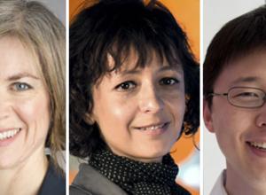Doudna, Charpentier, Zhang