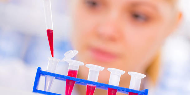 PCR 2 PCR 2
