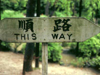 This way