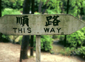 This way