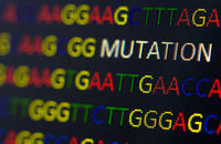 DNA Mutation