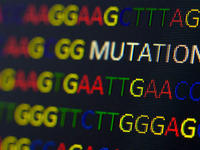 DNA Mutation