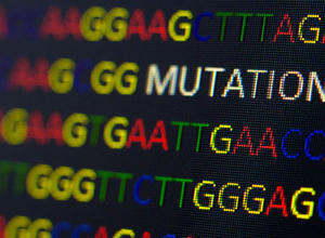 DNA Mutation