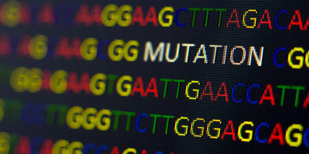 DNA Mutation DNA Mutation