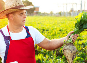 Farmer mit Zuckerrübe