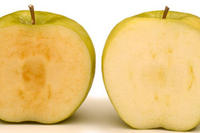 Arctic apples non browning Arctic apples non browning