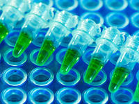 PCR Labor Lebensmittelüberwachung