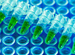 PCR Labor Lebensmittelüberwachung