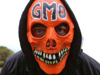 GMO Horror
