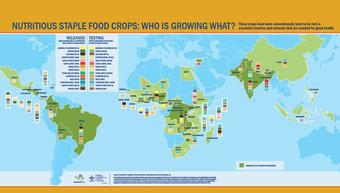 Biofortification_harvest-plus3 Biofortification_harvest-plus3