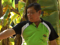 Bananen-Anbauer auf den Philippinen