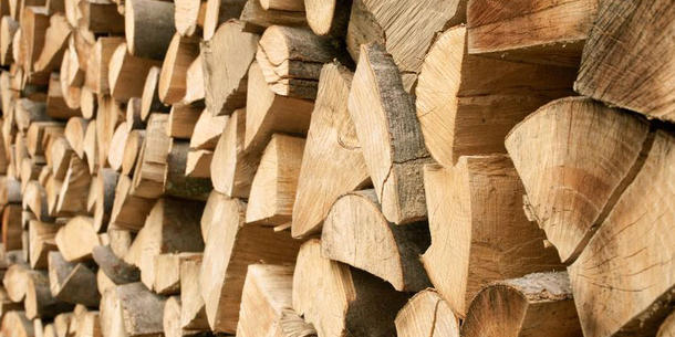 Holz Holz
