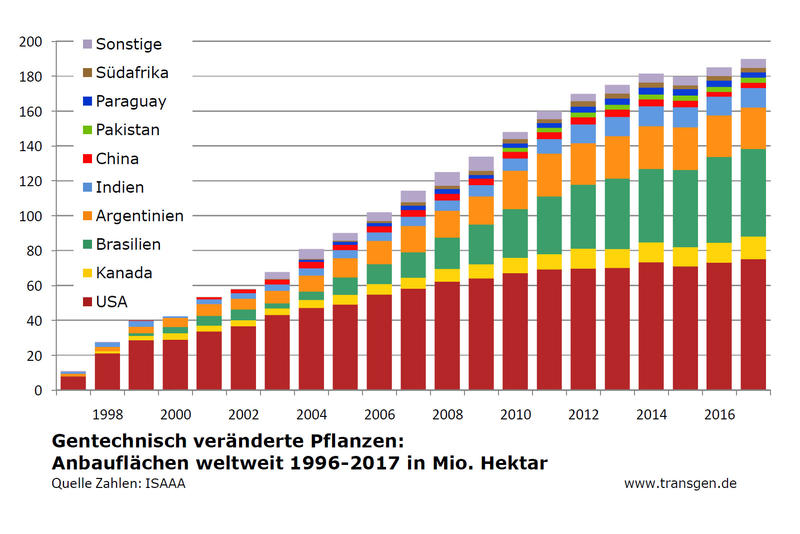 Keine Trendwende bei GentechnikPflanzen Weltweite