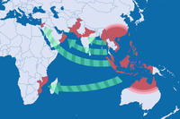 Verbreitungskarte von TR4, Panama Disease Verbreitungskarte von TR4, Panama Disease