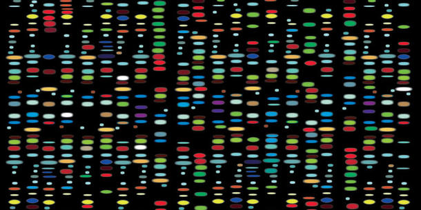 DNA DNA
