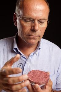 Mark Post, Fleisch aus Zellkultur Mark Post, Fleisch aus Zellkultur