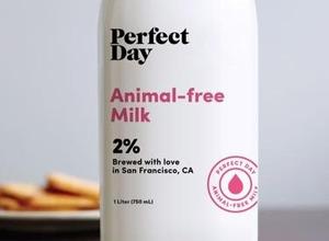 Animal-free Milk