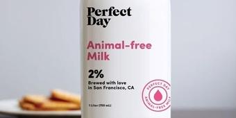Animal-free Milk
